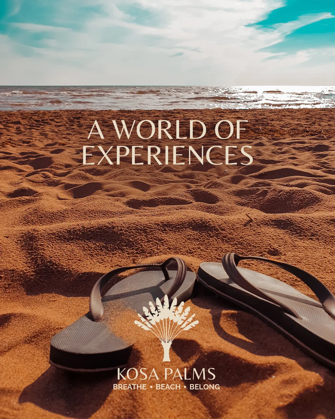 KOSA World of experiences
